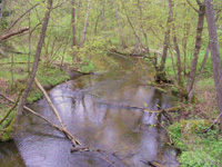 Spływ kajakowy rzeką Czerska Struga