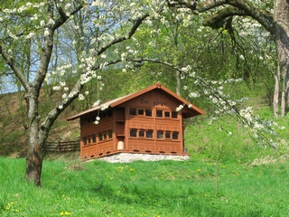 Dom pszczół w mini skansenie uli w Grucznie