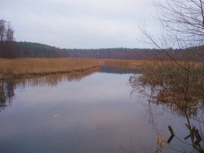 Pojezierze Brodnickie rzeka Skarlanka spływ kajakowy