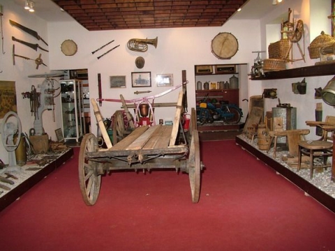 Galeria dla Wystawa w Muzeum Dobrzyńskim