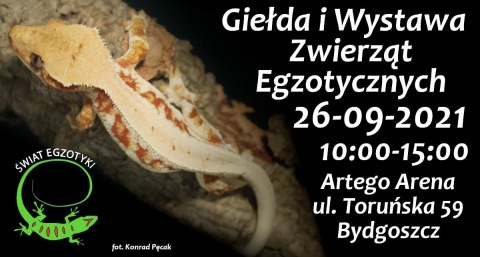 Galeria dla Świat Egzotyki - Bydgoskie Targi Terrarystyczne i Botaniczne Giełda i Wystawa Zwierząt Egzotycznych 26-09-2021r.