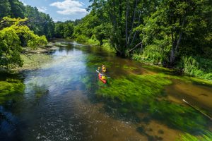 Ilustracja artykułu: Bory Tucholskie