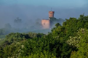 Ilustracja artykułu: Kociewie