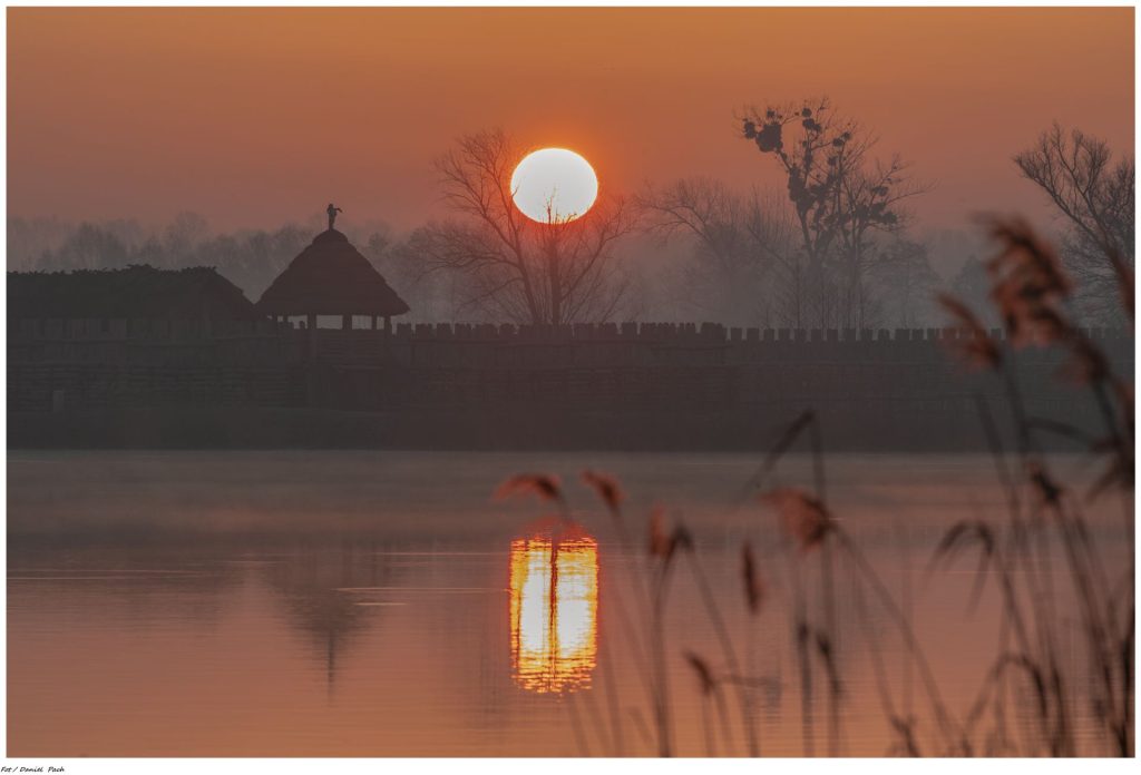 Biskupin, Pałuki, Muzeum Archeologiczne
