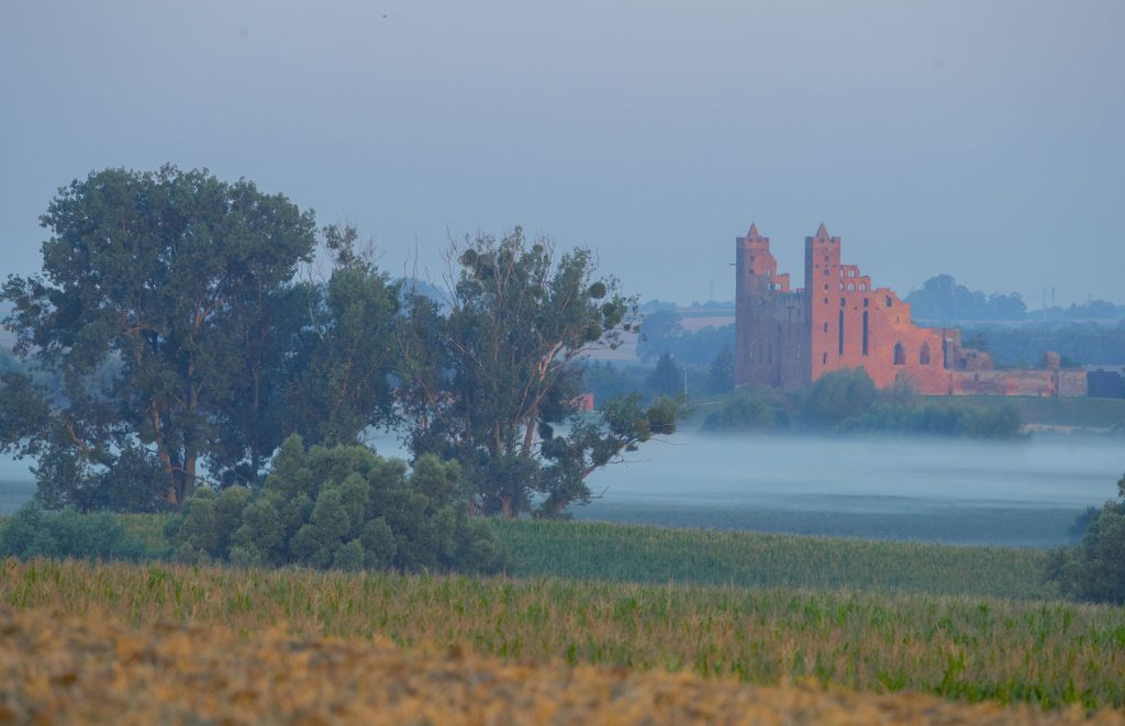 Zamek Krzyżacki, Radzyń Chełmiński