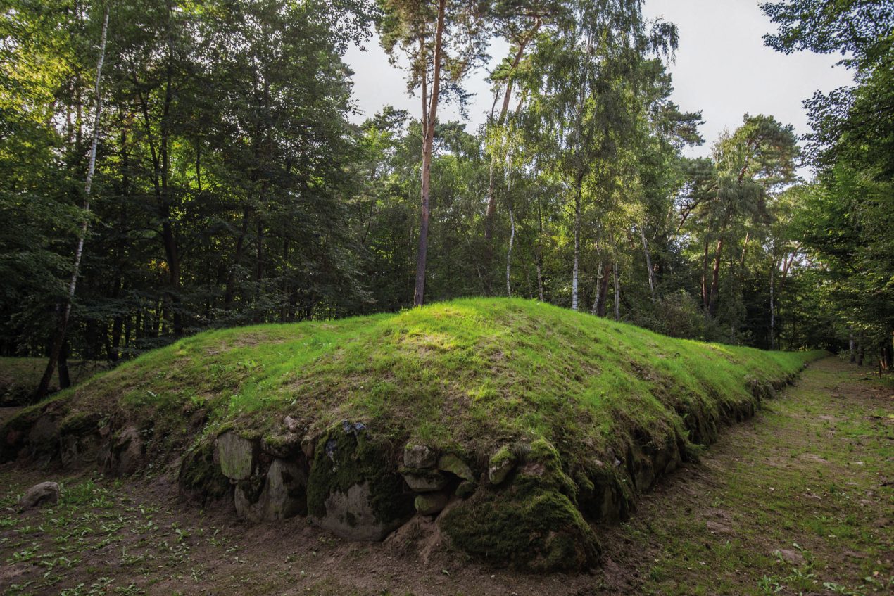 Ilustracja do wpisu: Park Kulturowy Wietrzychowice