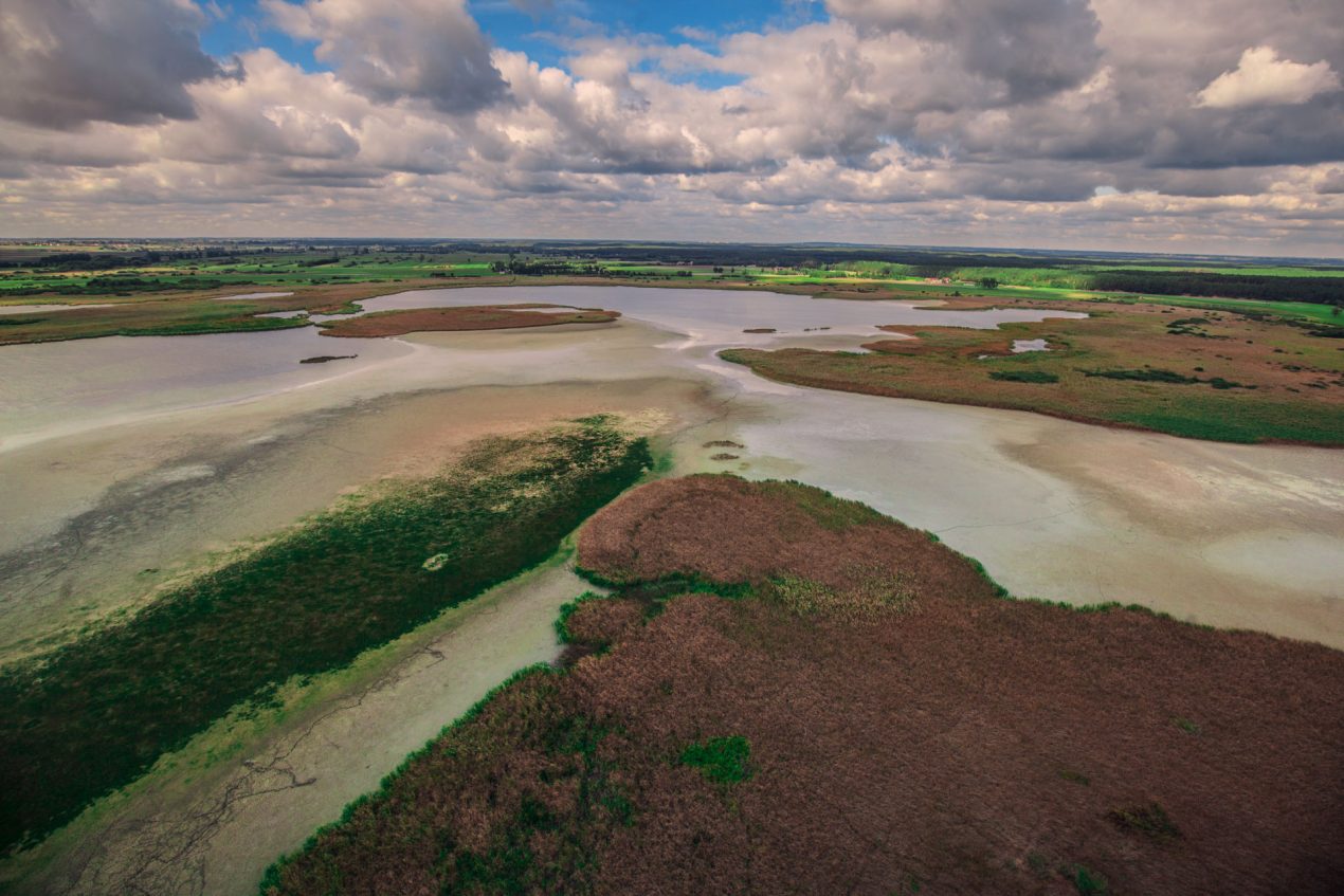 Ilustracja do wpisu: Rezerwat przyrody „Jeziorka Kozie”