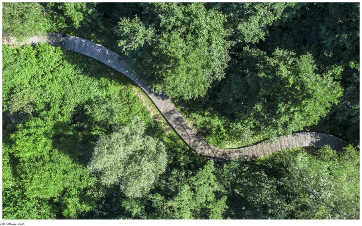 Ilustracja do wpisu: Park dendrologiczny „Nad Stążką”