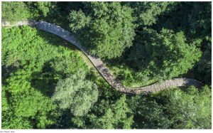 Ilustracja do wpisu: Park dendrologiczny „Nad Stążką”