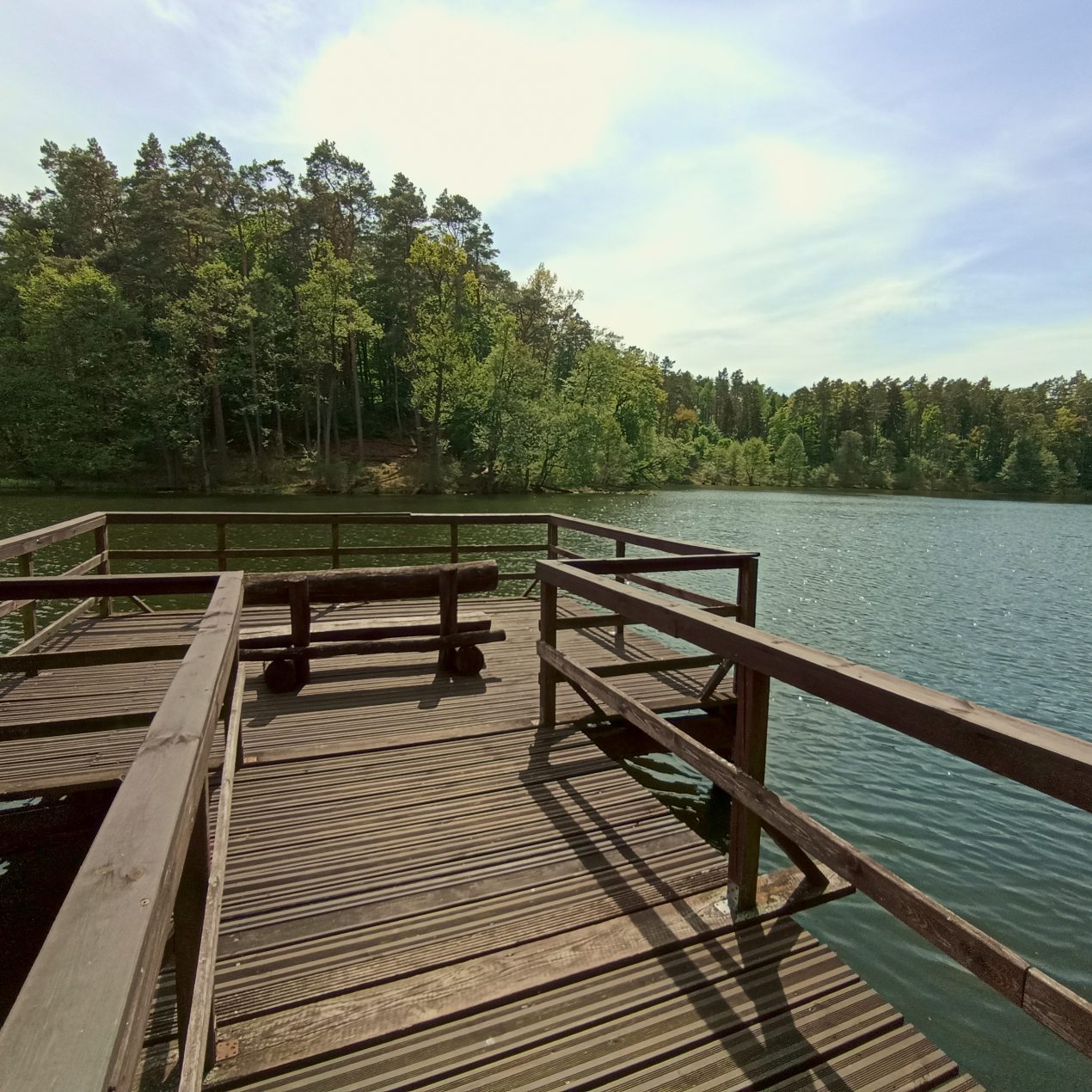 Ilustracja do wpisu: Leśna ścieżka dydaktyczna „Jezioro Wypalanki”