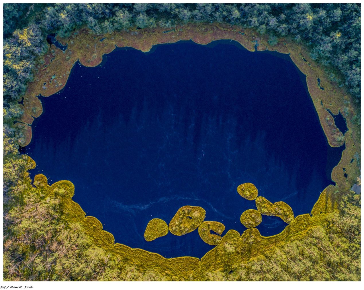 Ilustracja do wpisu: Rezerwat przyrody „Jezioro Rakutowskie”