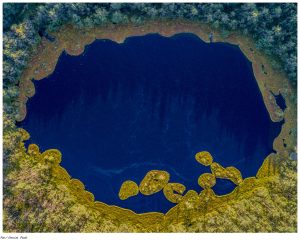 Ilustracja do wpisu: Rezerwat przyrody „Jezioro Rakutowskie”