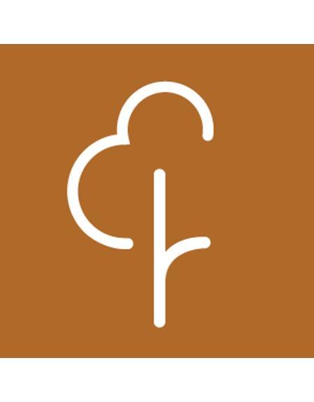 Ilustracja do wpisu: Parkrun Bydgoszcz