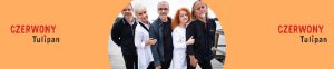 Ilustracja do wpisu: Czerwony Tulipan – koncert