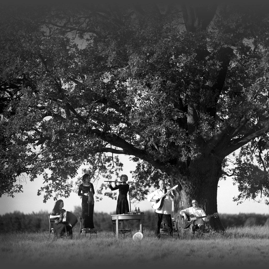 Ilustracja do wpisu: Dair // koncert