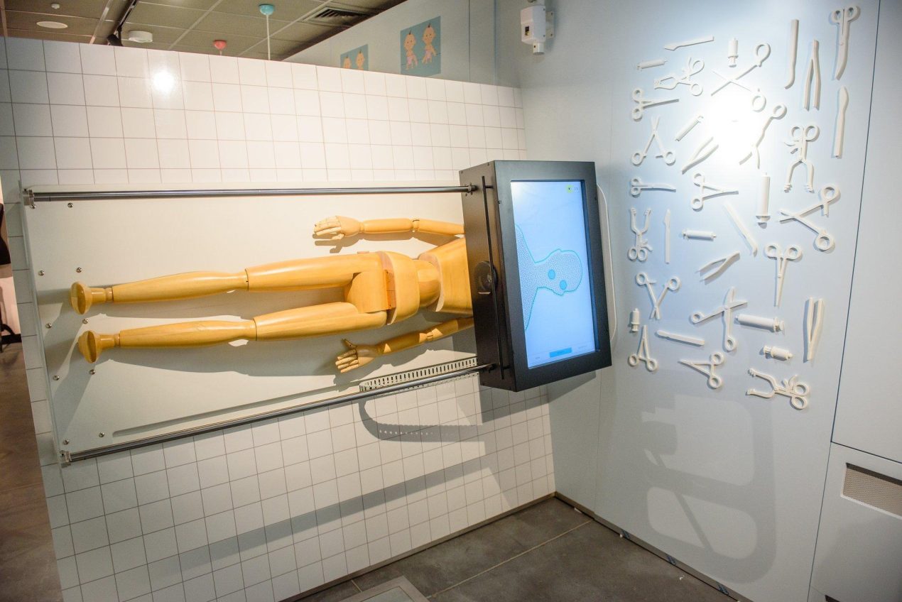 Ilustracja do wpisu: Wystawa „Ścieżki dorastania”