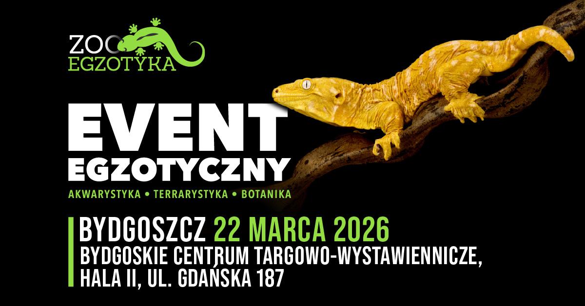 Ilustracja artykułu: Zooegzotyka