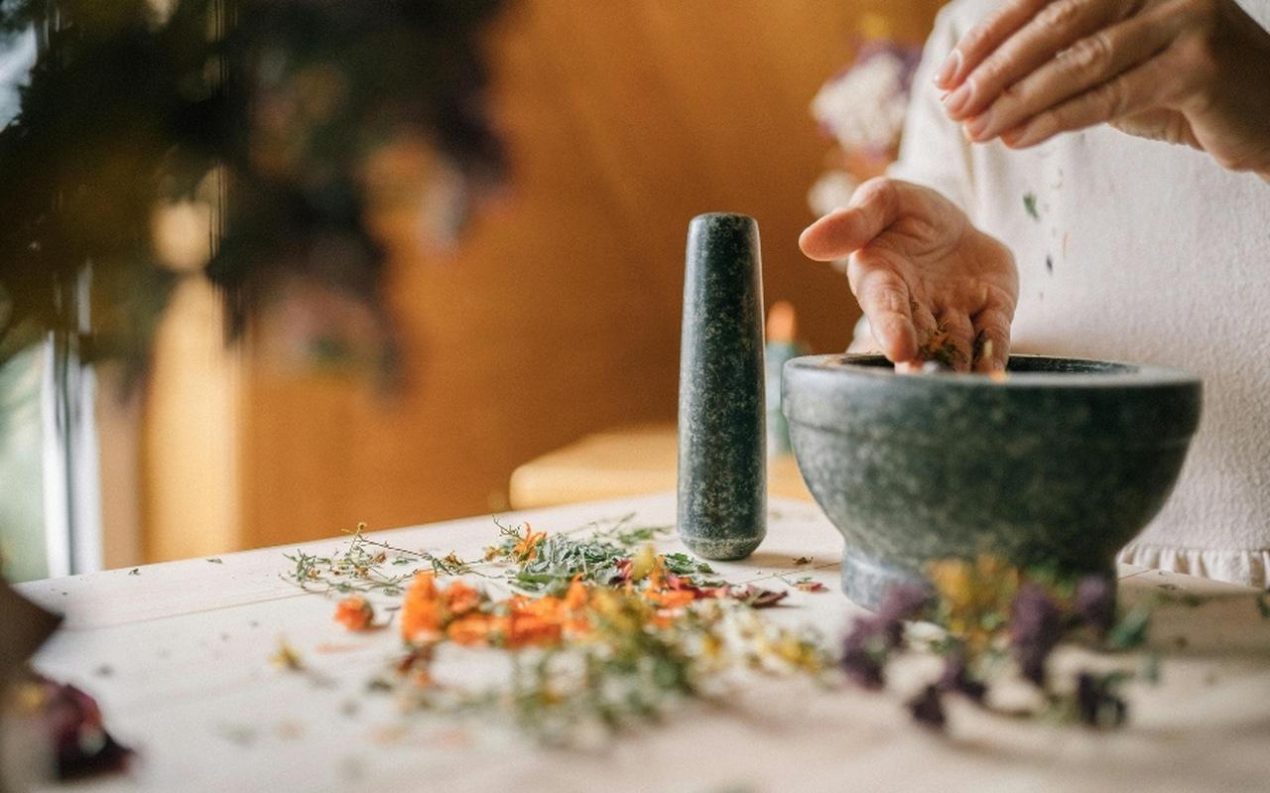 Ilustracja artykułu: Zielarskie warsztaty dla seniorów „Gdy kuchnia