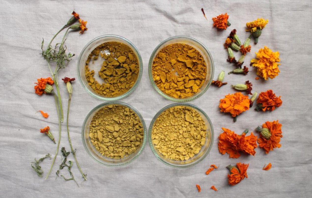 Ilustracja do wpisu: Wystawa pracowni Dzikie Barwy „Laboratorium koloru”