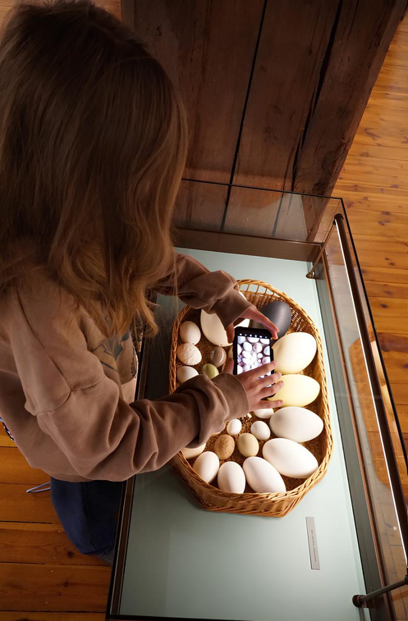 Ilustracja do wpisu: Pisanki ze świata – oprowadzanie kuratorskie