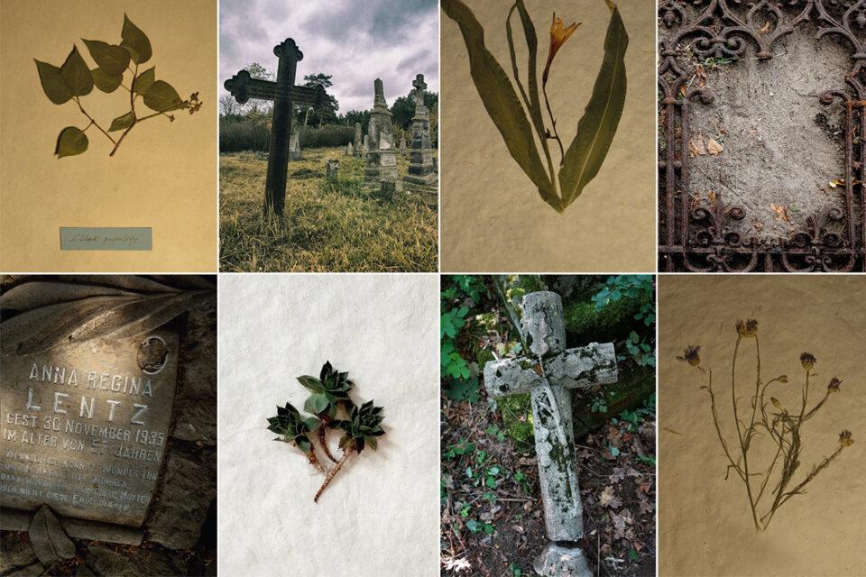 Ilustracja artykułu: Spotkanie pt. „Pamięć i niepamięć. Zapomniane