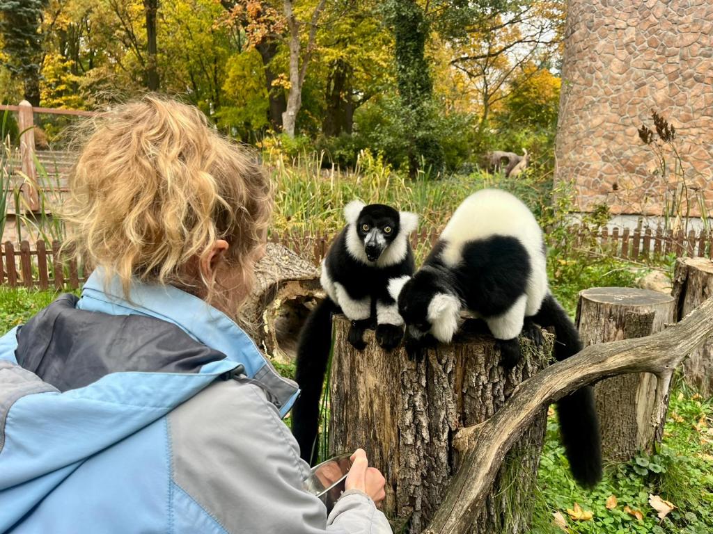 Ilustracja do wpisu: Ogród Zoobotaniczny w Toruniu