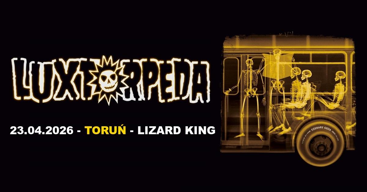 Ilustracja do wpisu: Koncert zespołu LUXTORPEDA