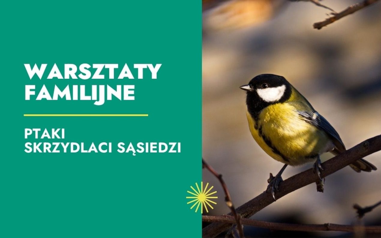 Ilustracja do wpisu: Warsztaty familijne „Ptaki – skrzydlaci sąsiedzi”