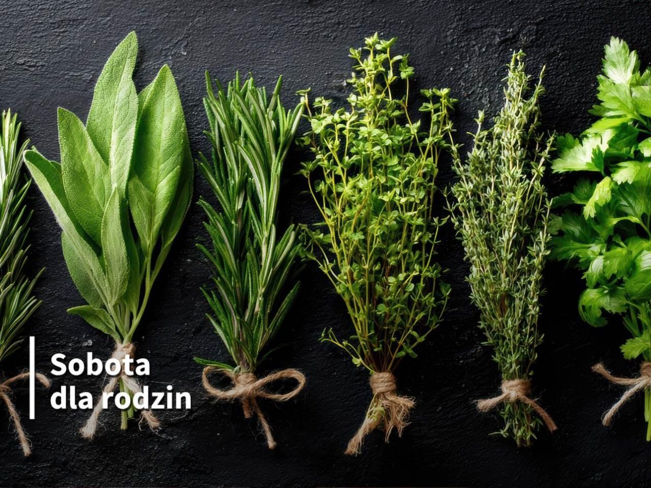 Ilustracja artykułu: Sobota dla rodzin: Spotkanie ze światem