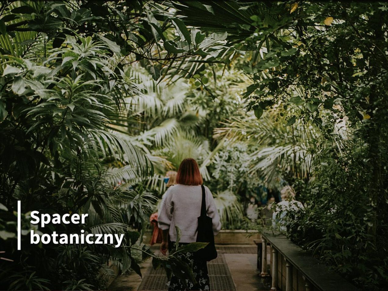 Ilustracja artykułu: Spacer botaniczny „Zielnik na żywo. Rośliny