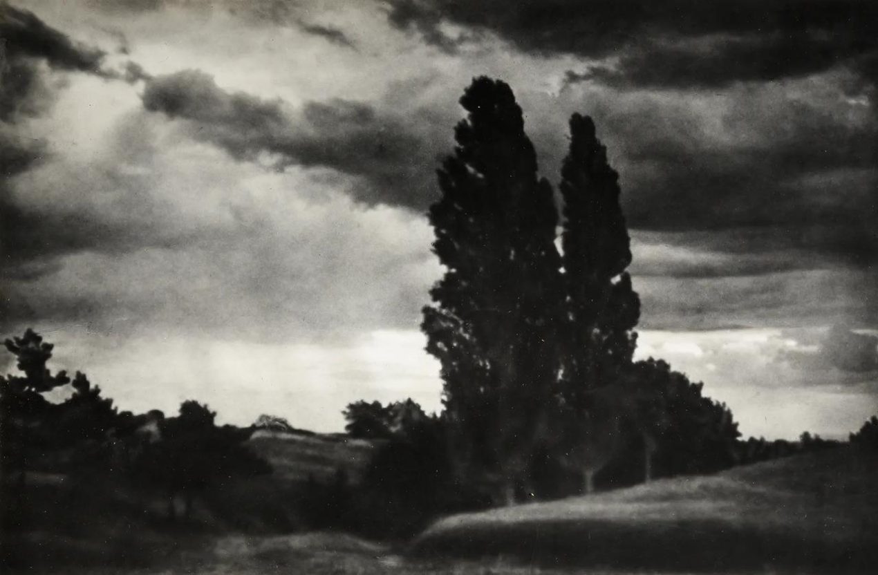 Ilustracja artykułu: Zwiedzanie z przewodnikiem – Wystawa „Światłocień