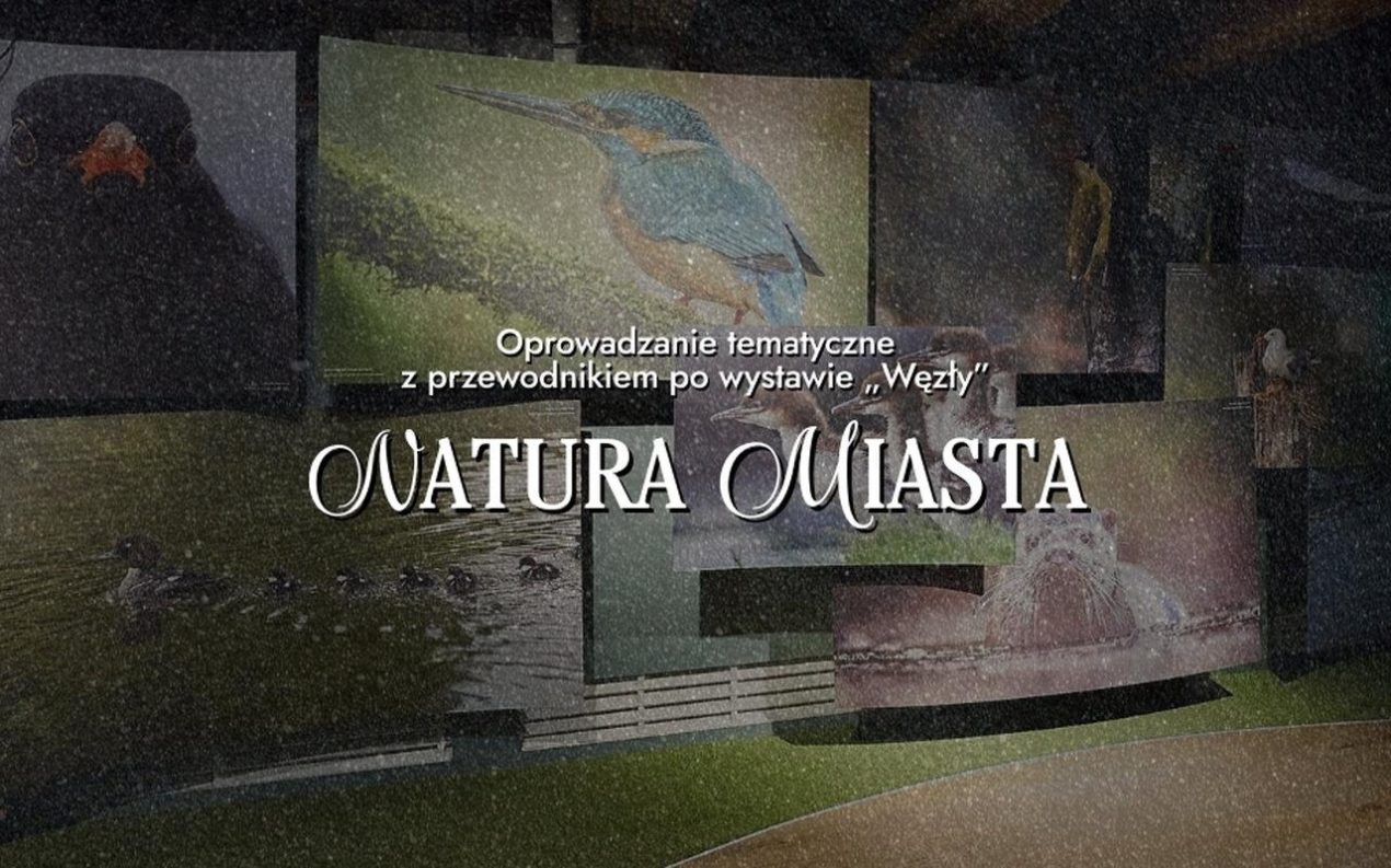 Ilustracja do wpisu: Oprowadzanie z przewodnikiem po wystawie „Węzły”