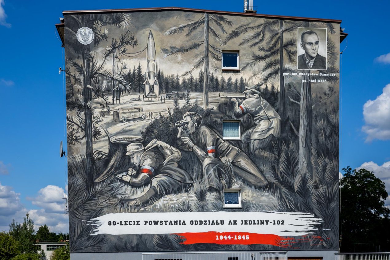 Ilustracja artykułu: Wierzchucin – Heidekraut, czyli wrzos