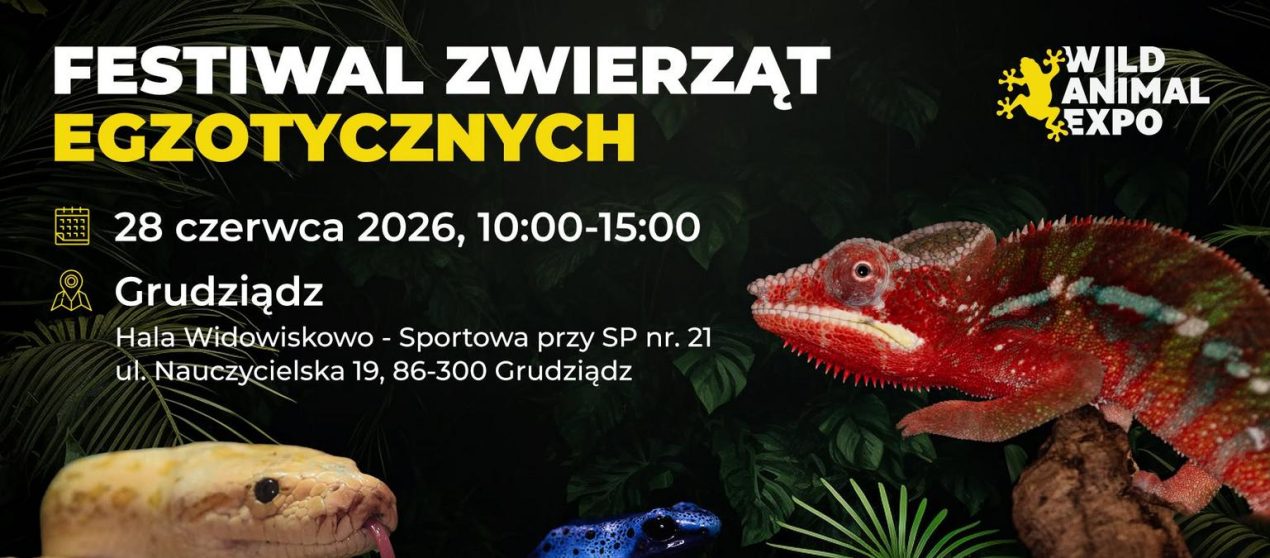 Ilustracja do wpisu: Targi Zwierząt Egzotycznych w Grudziądzu