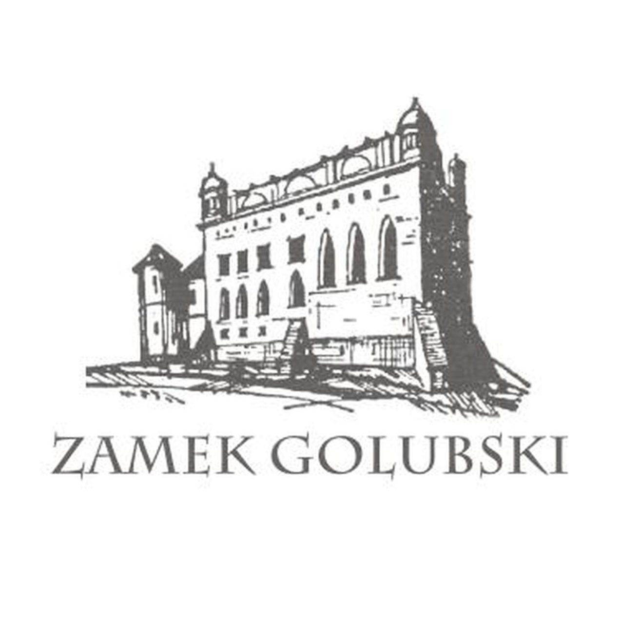Ilustracja do wpisu: Międzynarodowy Turniej Rycerski