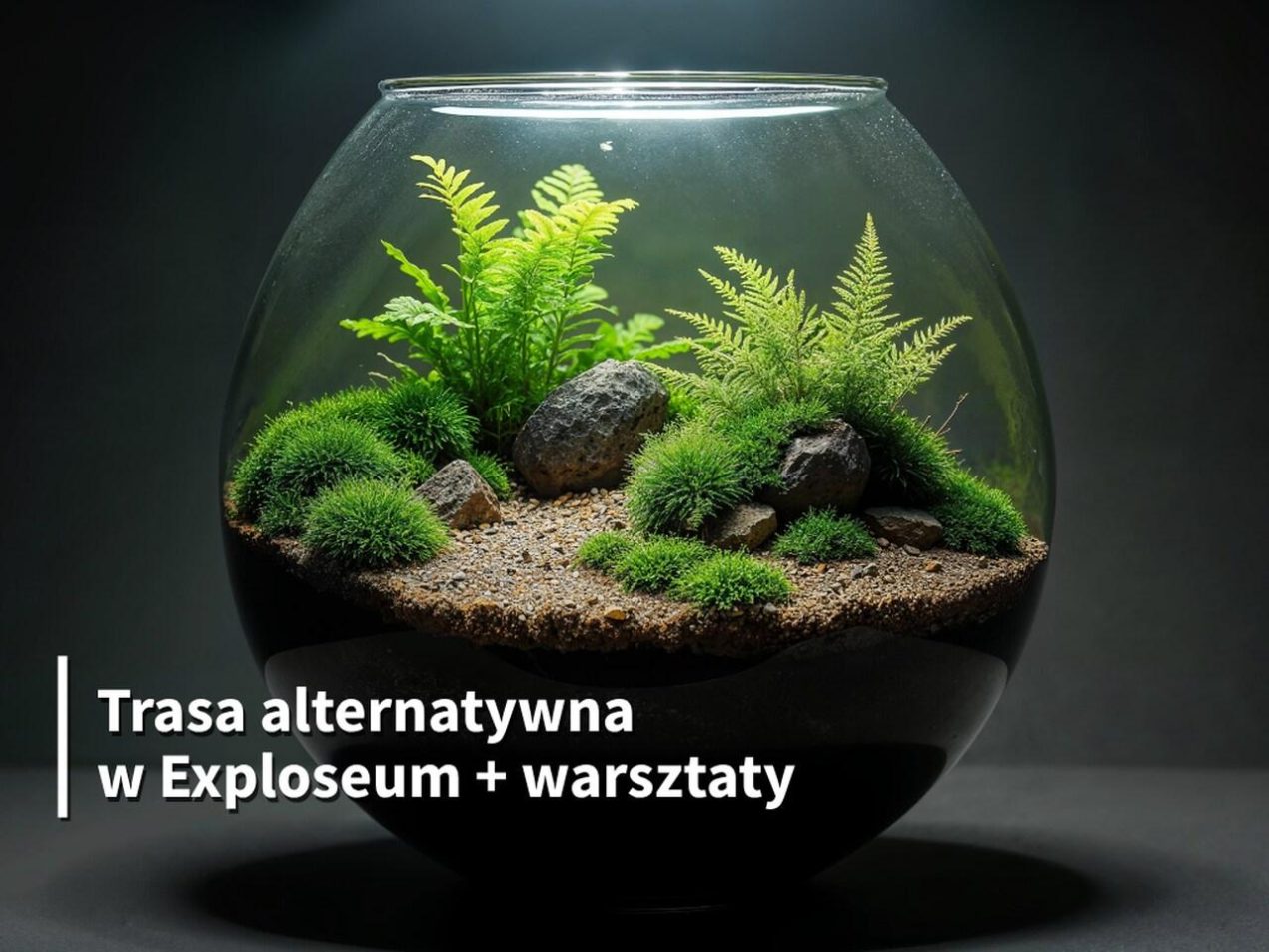 Ilustracja do wpisu: Trasa alternatywna „Las w słoiku”