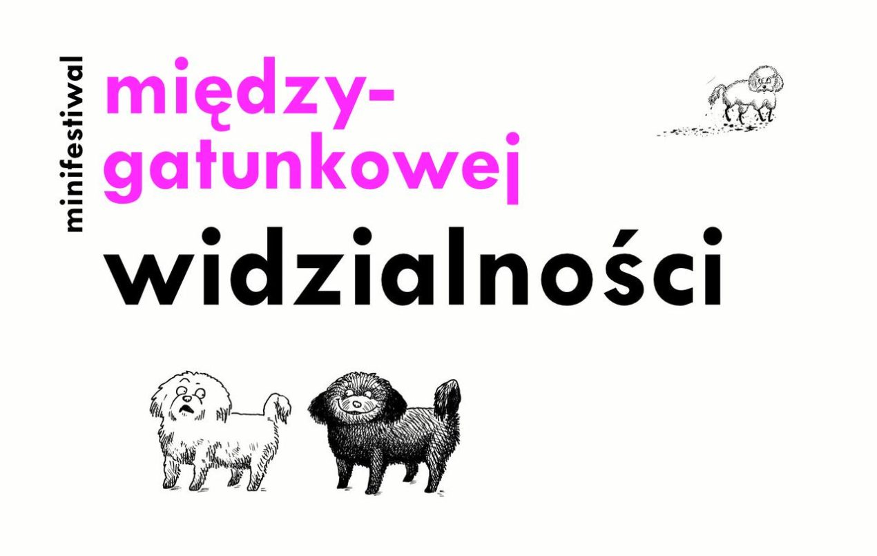 Ilustracja do wpisu: Minifestiwal Międzygatunkowej Widzialności – dzień 2