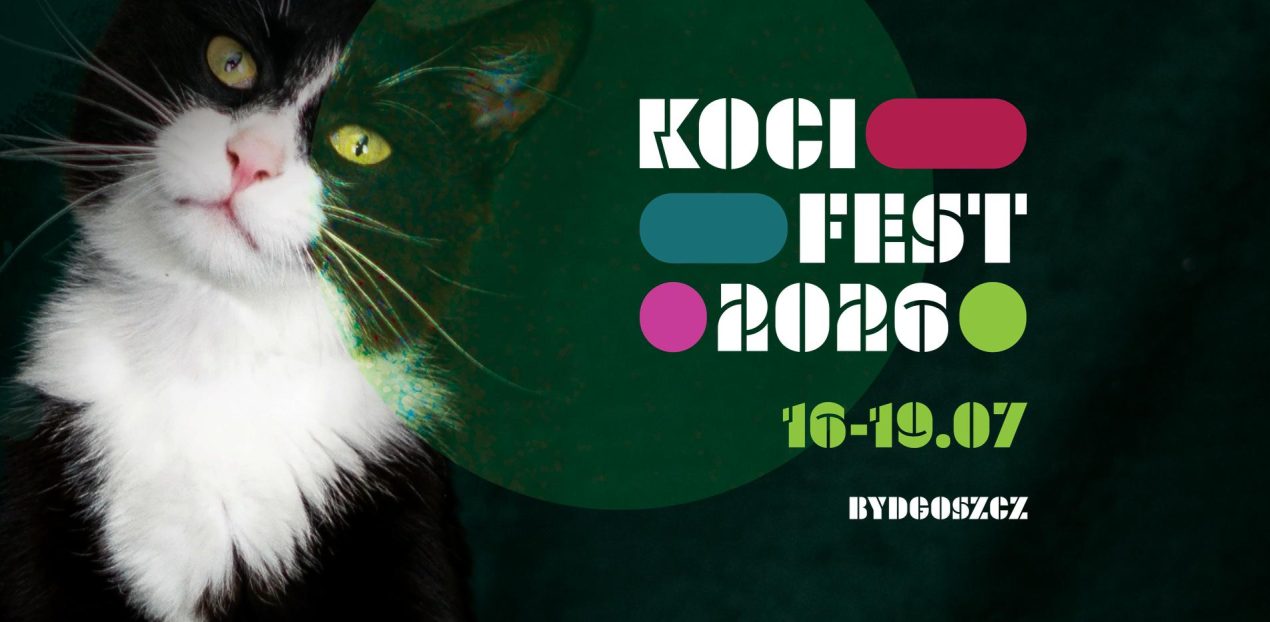 Ilustracja do wpisu: Festiwal Miłośników Kotów Koci Fest 2026