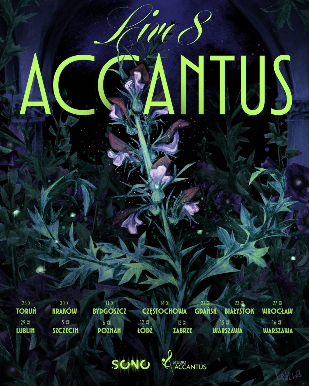 Ilustracja artykułu: Accantus Live 8