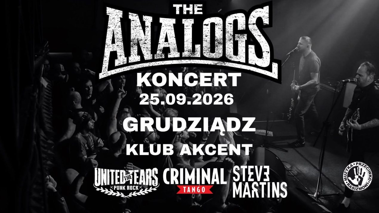 Ilustracja do wpisu: Koncert – The Analogs