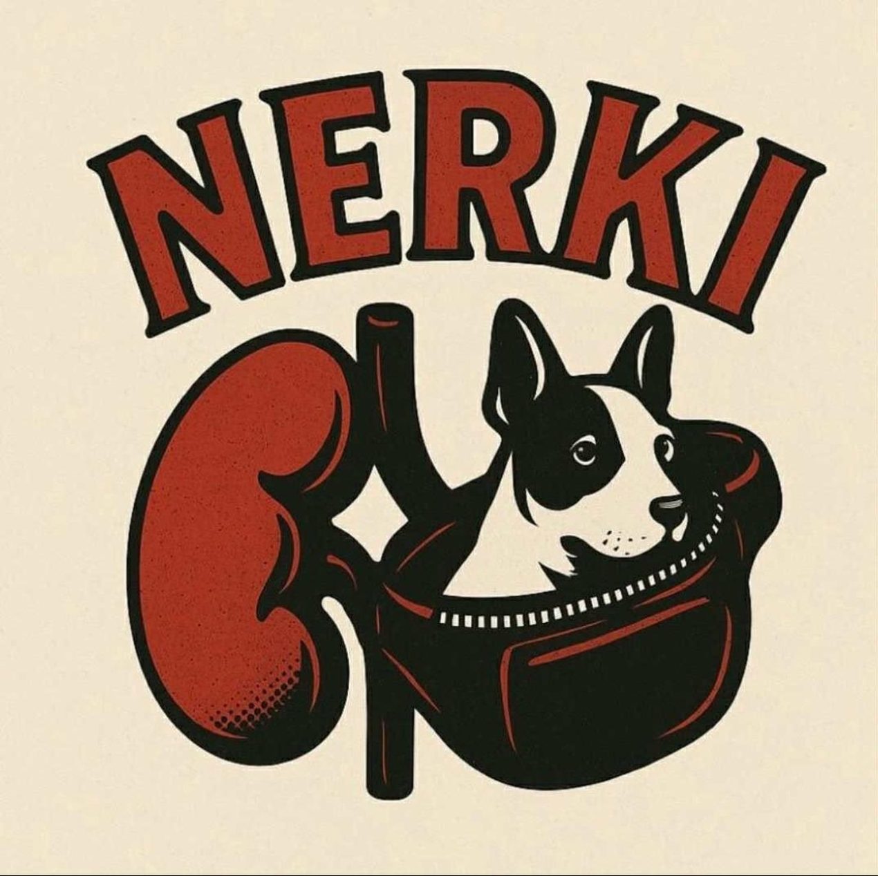 Ilustracja artykułu: Nerki / koncert