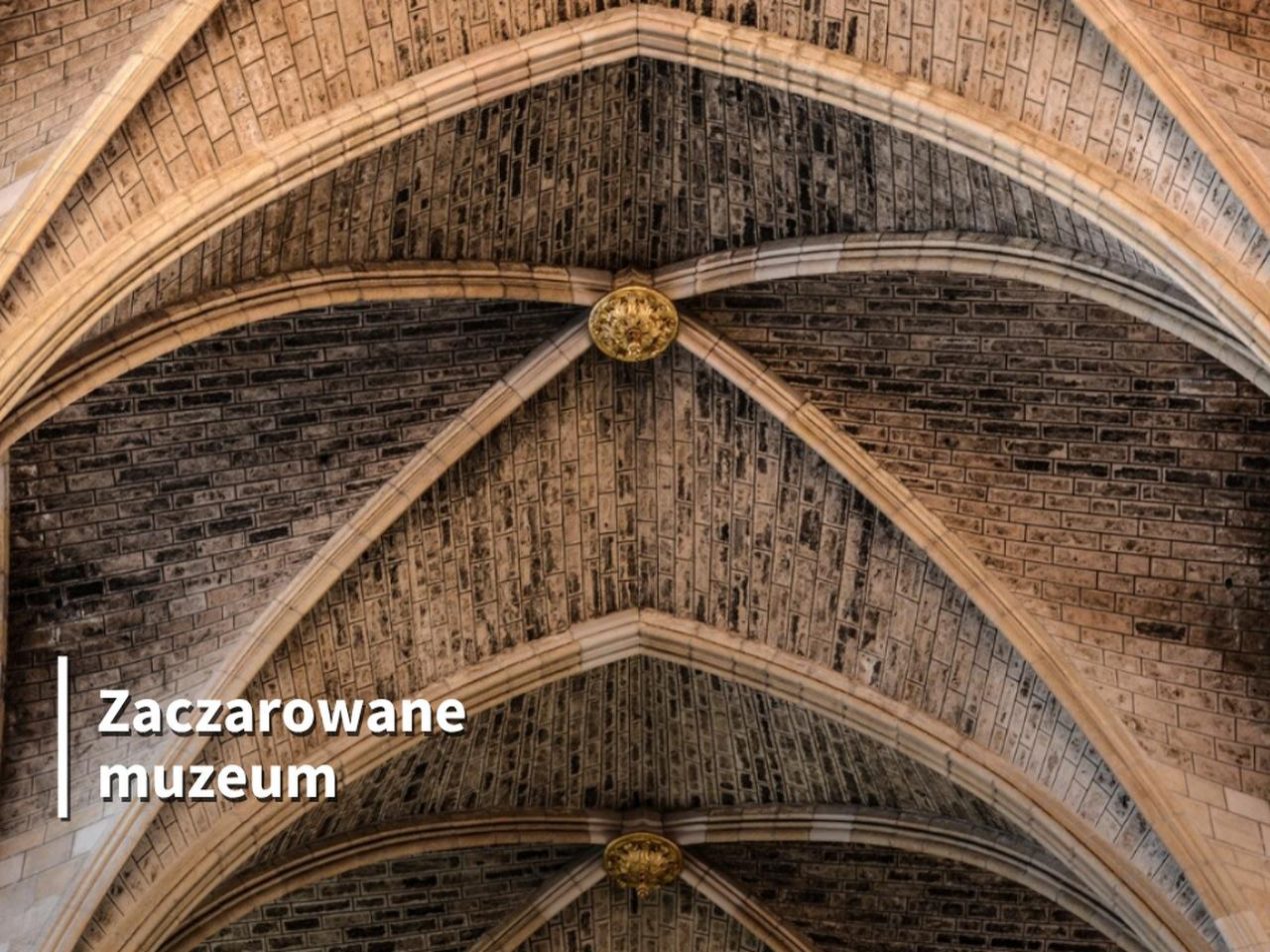 Ilustracja do wpisu: „Pod podłogą katedry” – warsztaty plastyczne