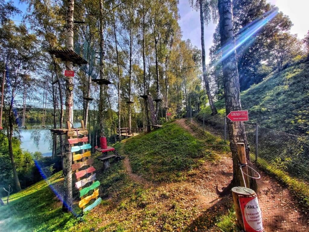 Ilustracja do wpisu: Park Linowy Górzno