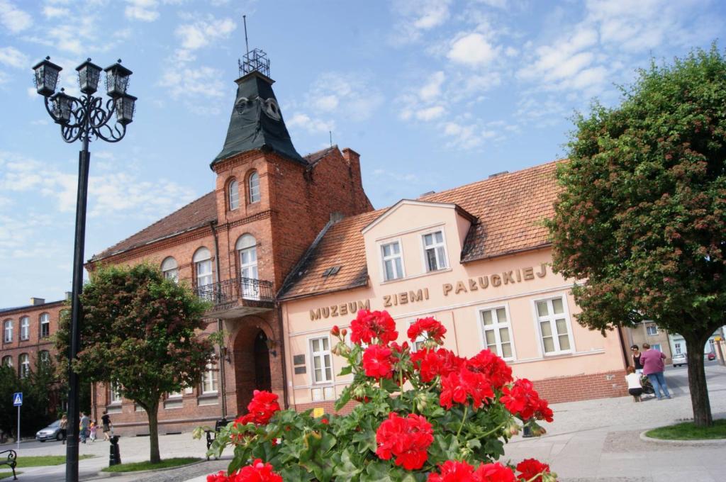 Ilustracja artykułu: Muzeum Ziemi Pałuckiej