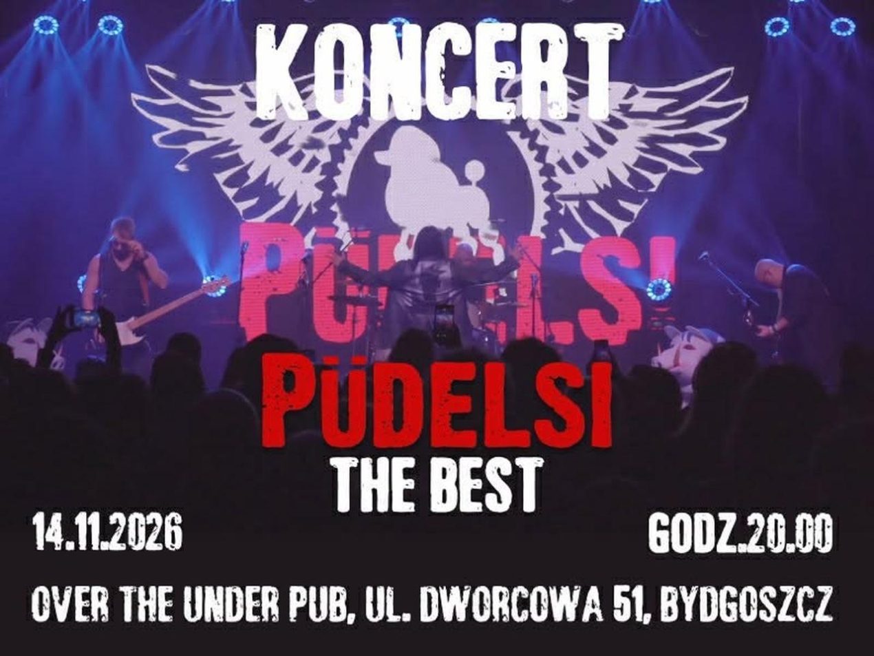 Ilustracja artykułu: Pudelsi / koncert