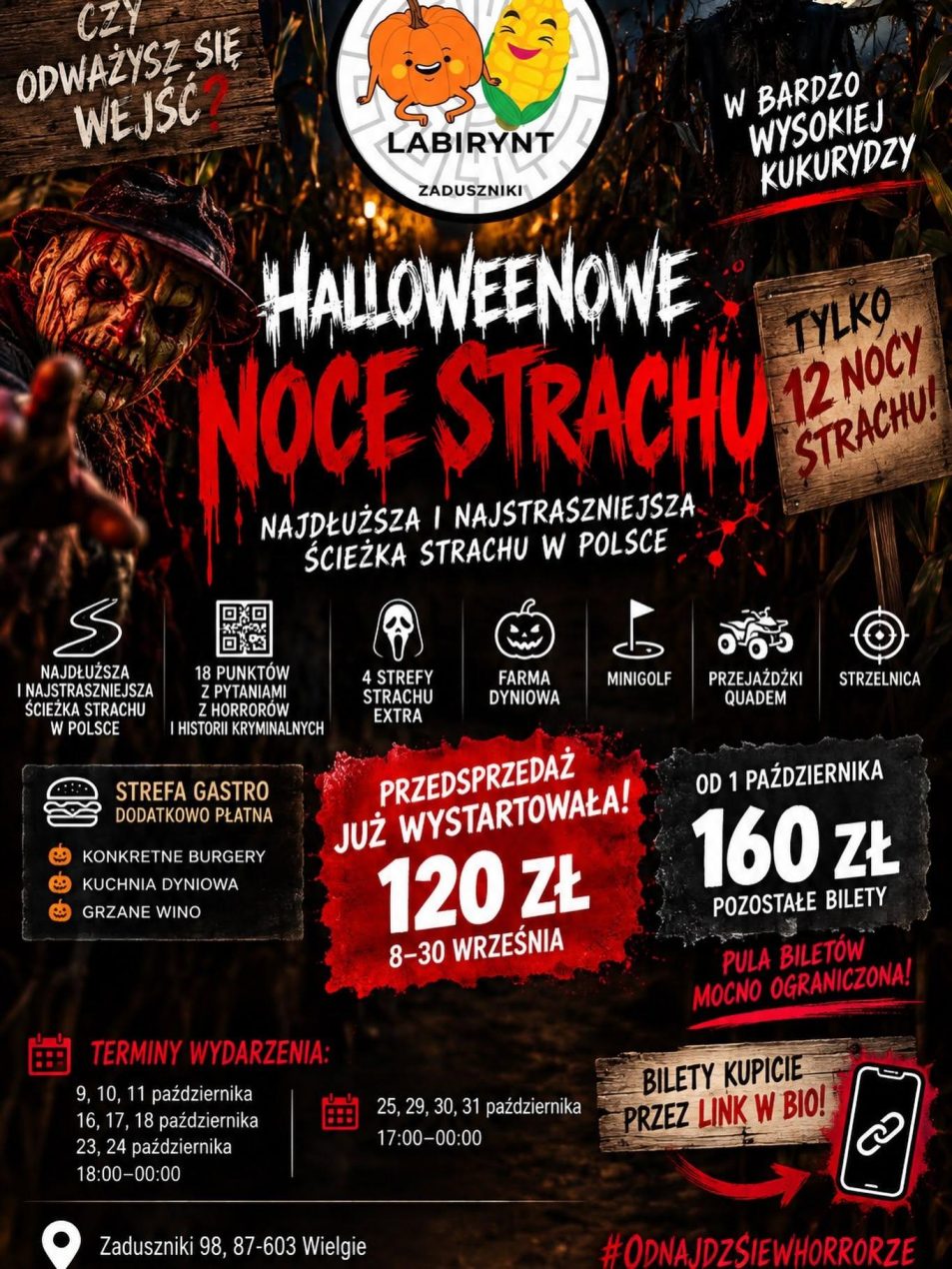 Ilustracja do wpisu: Halloweenowe Noce Strachu – Labirynt Zaduszniki