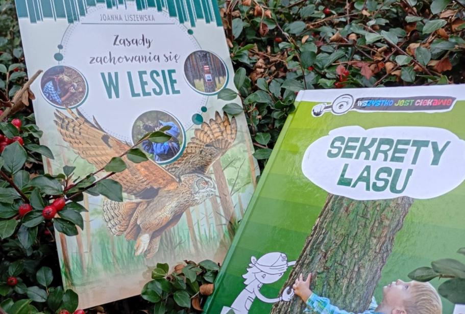 Ilustracja artykułu: Sekrety lasu / warsztaty wokół książki