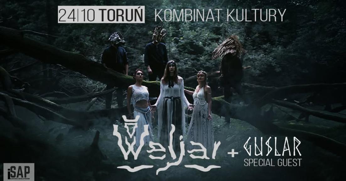 Ilustracja artykułu: Weljar + Guslar / koncert