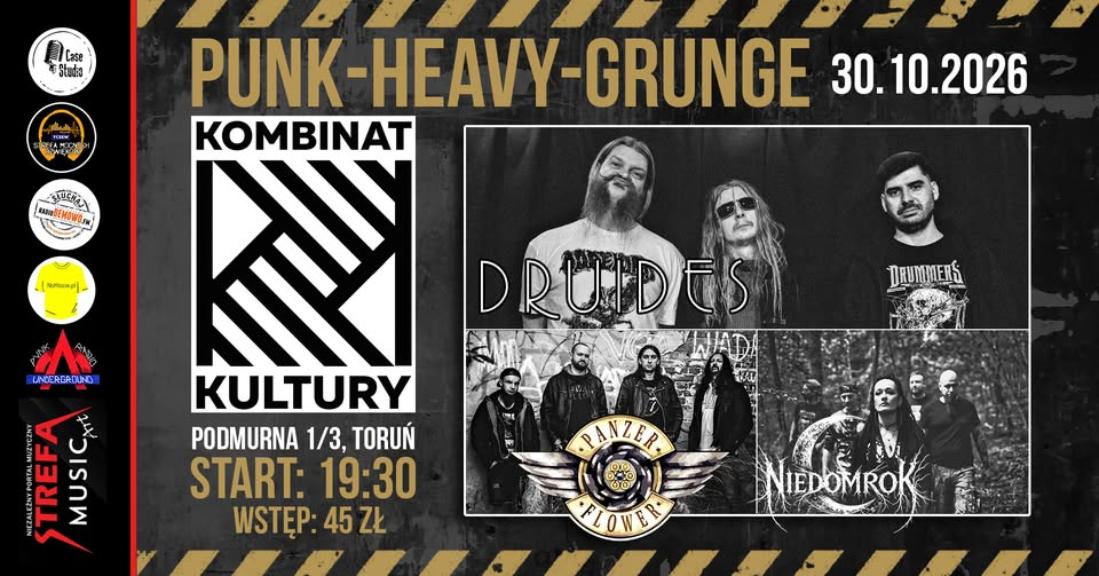 Ilustracja do wpisu: Punk-Heavy-Grunge / koncert