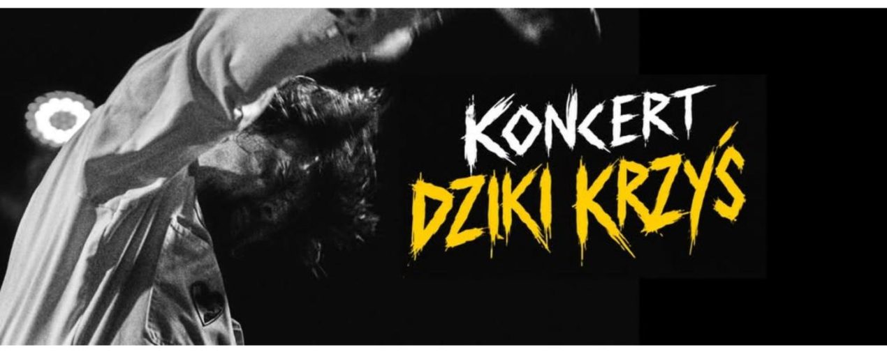Ilustracja do wpisu: Dziki Krzyś / koncert